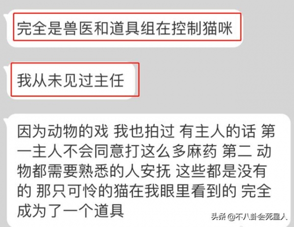 《当家主母》群演发声，疑剧组多次给白猫注射麻药，白猫或已死亡