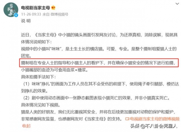 《当家主母》群演发声，疑剧组多次给白猫注射麻药，白猫或已死亡
