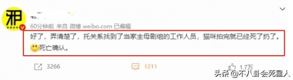 《当家主母》群演发声，疑剧组多次给白猫注射麻药，白猫或已死亡