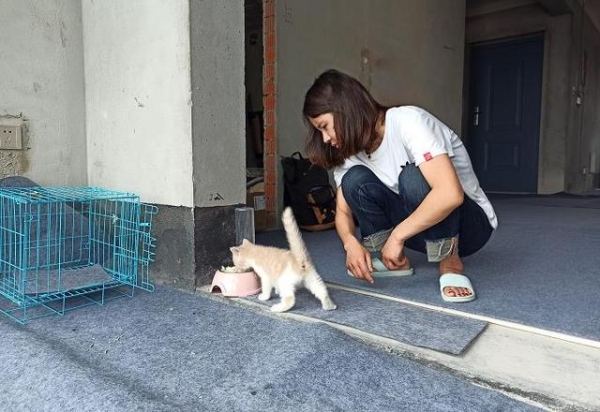 入住毛坯房的95后女孩：目前忙着装修和相亲，家人从反对到支持，已有商家来合作