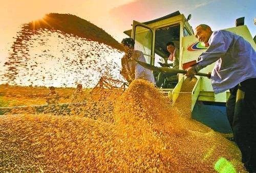 粮食生产“十八连丰”，饭碗更稳，这些原因要牢记，确保粮食丰收