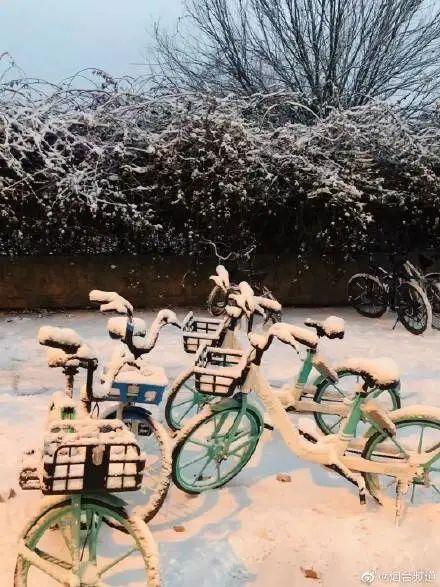 暴雪橙色预警！“雪窝”威海再发力！积雪超10厘米，航班取消高速暂停……