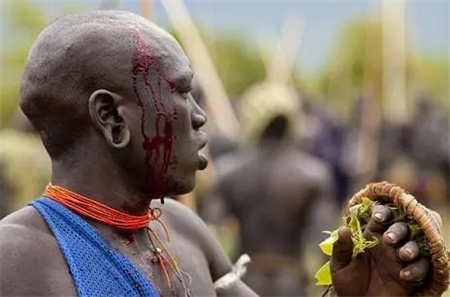 此非洲部落男性肚子越大越受欢迎半年持续饮牛血