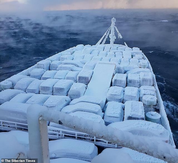 活久见！一整船的汽车从日本运到俄罗斯，集体被冻成冰棍了