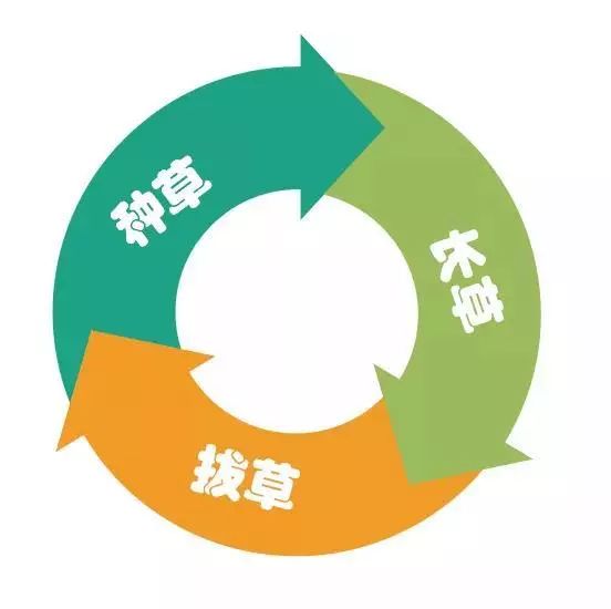 如何种草消费者 品牌营销必须了解的 种草心理学