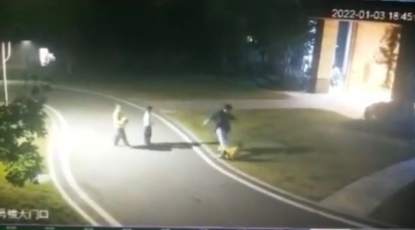 广东26岁女子殴打一名5岁男孩 连续踹击十数脚 警方通报：拘留