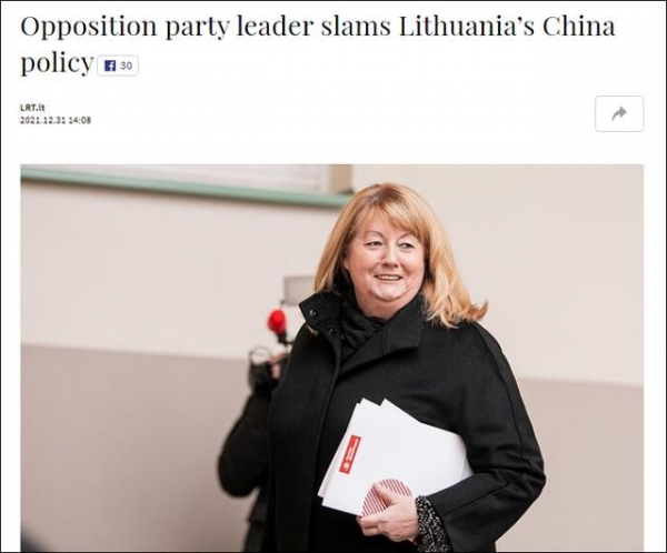 立陶宛又一反对党领袖抨击政府对华政策：不专业