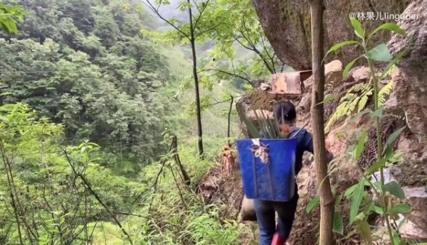 会维修的女孩有多美？大学生回深山帮村民修发电机，134万人围观