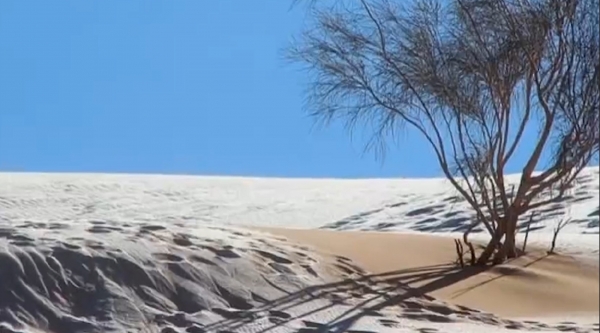 罕见！撒哈拉沙漠小镇连续第二年下雪 金黄沙丘被层层冰雪覆盖