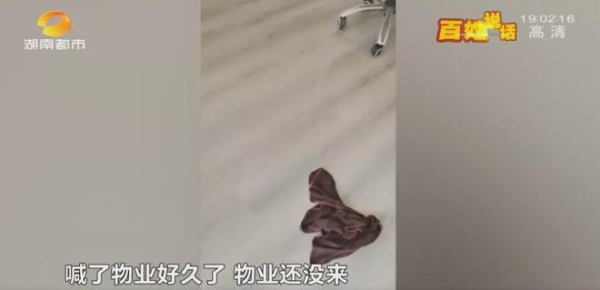 长沙业主新房被粪水浸泡 她边哭边舀水 开发商却只留下一句话