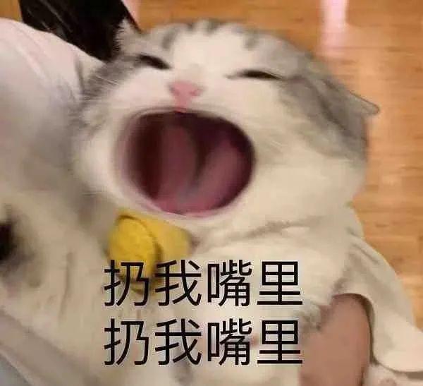 “没有一袋砂糖橘能过夜”冲上热搜！网友纷纷晒过年的已经被吃光了