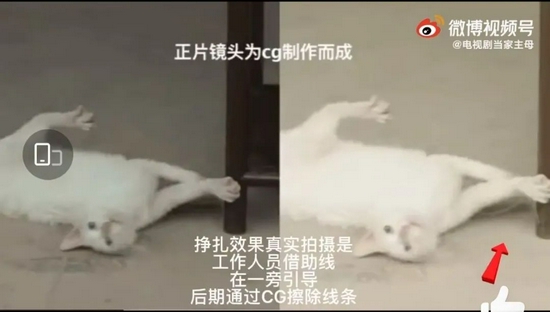 《当家主母》剧组澄清视频。网页截图