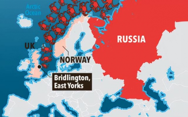 大红帝王蟹入侵英国约克海岸 渔民非常兴奋 能捕到更贵的货物