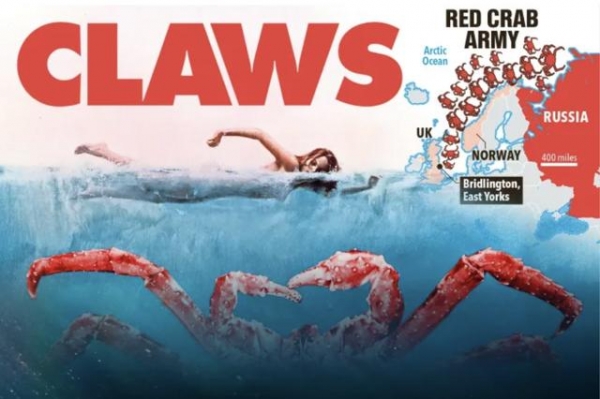 大红帝王蟹入侵英国约克海岸 渔民非常兴奋 能捕到更贵的货物