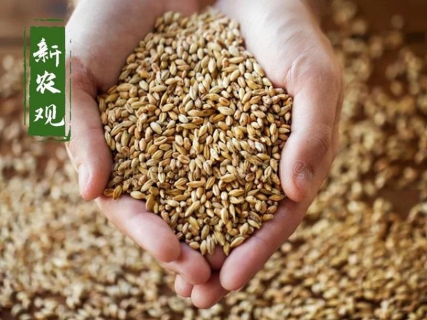 俄乌战争，给全球粮食市场带来的“7大变局”