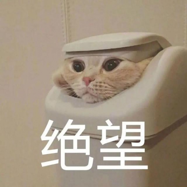 西安部分区域学校幼儿园今起停止线下教学，家长们看过来~