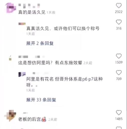 绍兴一公司选妃式招聘，晋升体系从丫鬟到皇太后，公司回应：为了吸引应聘者