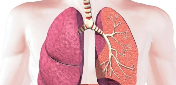 凌晨3到5点醒可能是肺虚了简单3味中药补肺气一觉到天亮