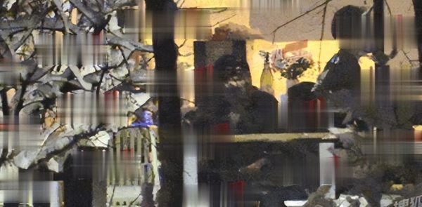 姚笛疑有新恋情？与神秘男约会被亲昵摸腿后，坐车同回男方公寓