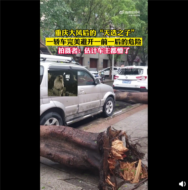 重庆小伙被大风吹起离地近三米 险被卷入空中：实拍11级大风 情侣石拆散
