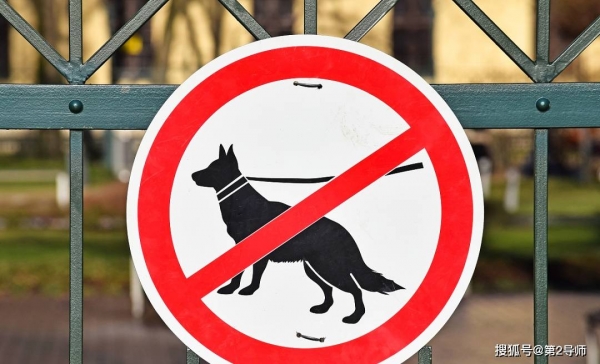 禁犬令的理念能够得到多数人的认可,由此可见,狗患对于社会发展的威胁