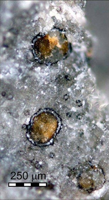 火星存在过生命吗？可能有过几代 但都灭绝了