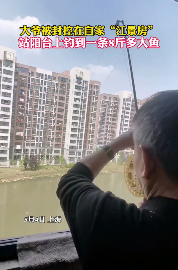 加餐！上海大爷站在阳台上钓起8斤野生大鲤鱼，楼下邻居帮忙抄鱼