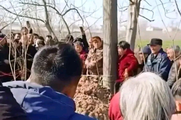 3条大蛇盘踞天花板，蛇头暴起嘶嘶响太吓人，家蛇究竟能不能打？