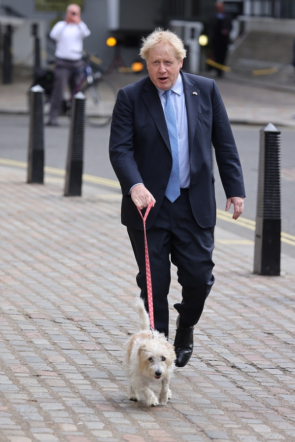 英国2022年地方议会选举开始 约翰逊“遛狗”抵达投票站