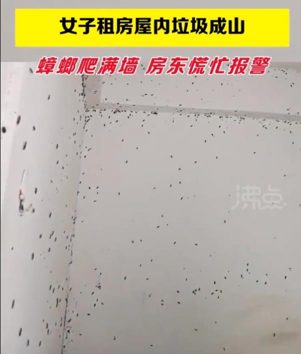 女孩房内蟑螂爬满墙垃圾成堆，房东报警女孩被带走调查