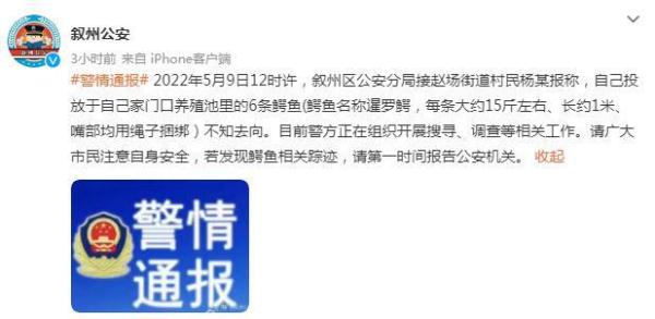 警方回应6条鳄鱼逃进金沙江：养殖户已报案 正组织开展搜寻、调查等工作