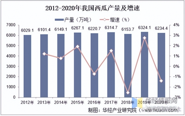 西瓜龟价格图片