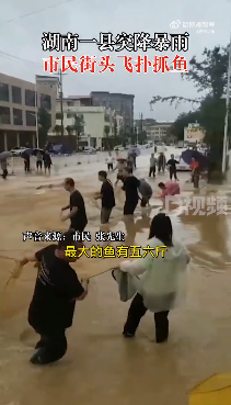 湖南一县突降暴雨市民街头抓鱼，市民：水不深，最大的鱼5斤多