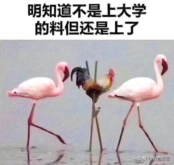 名校硕博毕业生“扎堆”小县城，是不是人才浪费？