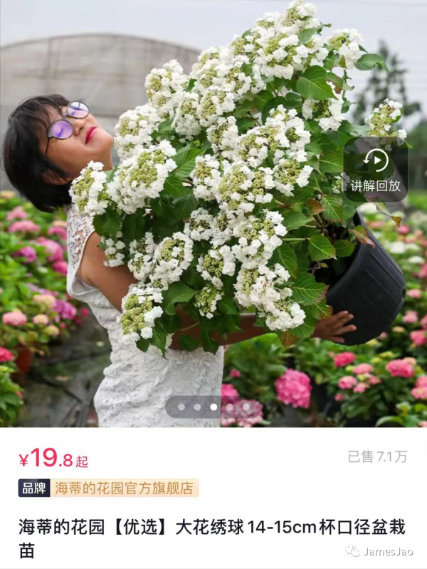 二胎妈妈建3000平米花园成网红景点，网友：因为她我开始期待春天