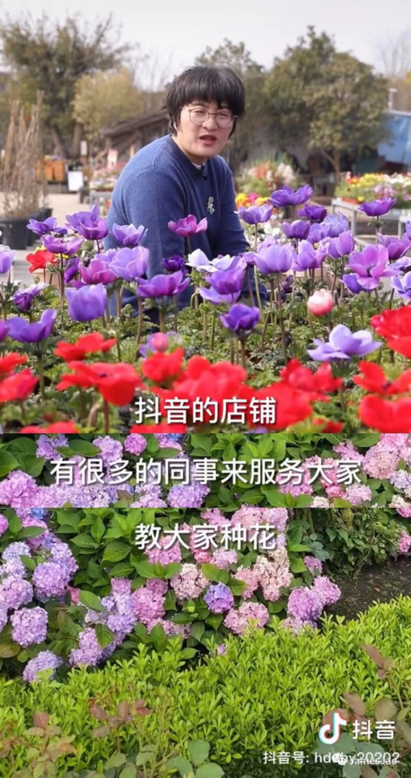 二胎妈妈建3000平米花园成网红景点，网友：因为她我开始期待春天