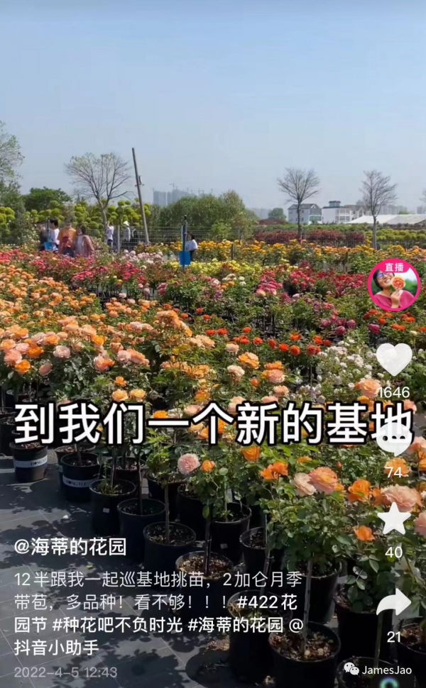 二胎妈妈建3000平米花园成网红景点，网友：因为她我开始期待春天