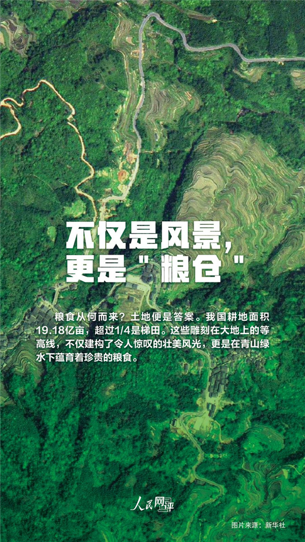 人民热评：夏收夏种农事忙，颗粒归仓稳当当