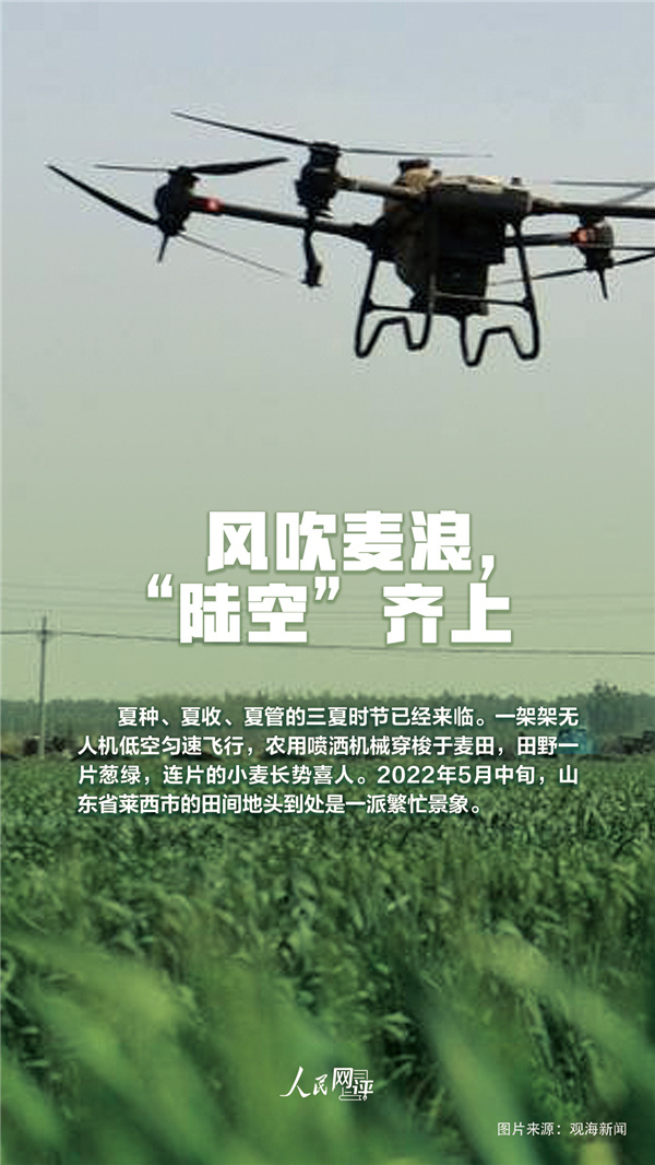 人民热评：夏收夏种农事忙，颗粒归仓稳当当