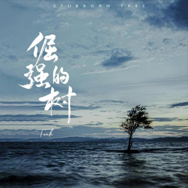 唱歌才子TANK宣布回归，曾是周杰伦接班人，巅峰时期因心脏病隐退