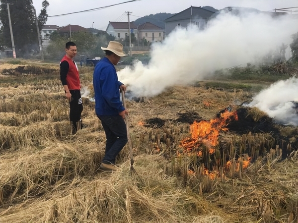 农村秸秆焚烧迎来反转机会农民不解又要求烧了咋回事