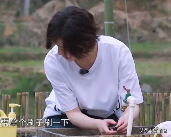 曝《向往6》雇阿姨洗碗，嘉宾录几天就走，网友：太假了