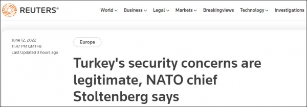 北约秘书长：土耳其的安全关切合理，不急于在北约峰会上批准芬兰瑞典“入约”