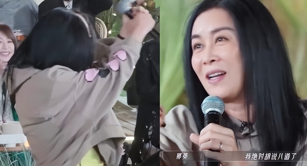 《浪姐3》那英二公造型被指撞脸刘嘉玲,自嘲丑版接地气