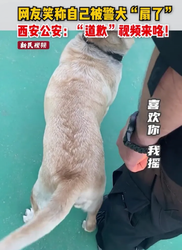 ä¸åèº«ç©¿é»è²è£å­çå°å§å§è¢«ä¸åªè­¦ç¬ç¨å°¾å·´âæäºåæ¬¡â