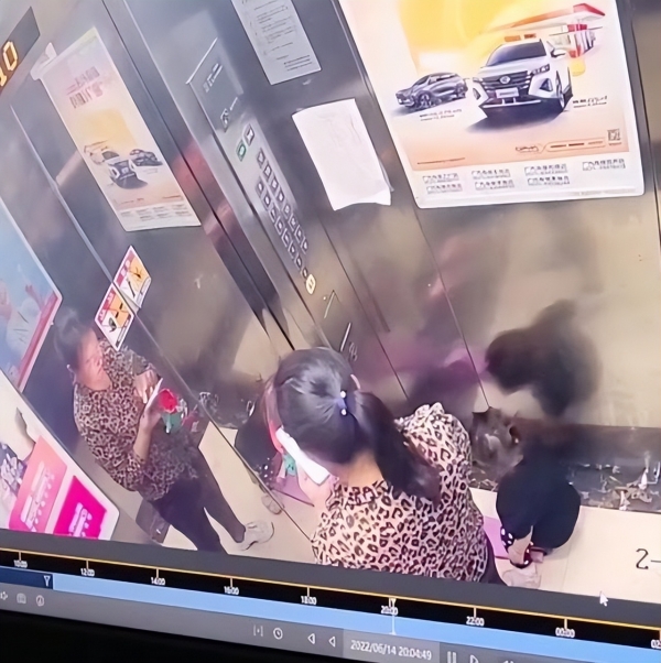 物业回应“杭州2岁女童被留电梯后坠亡”：将加装防护栏，“不回避也不推卸”