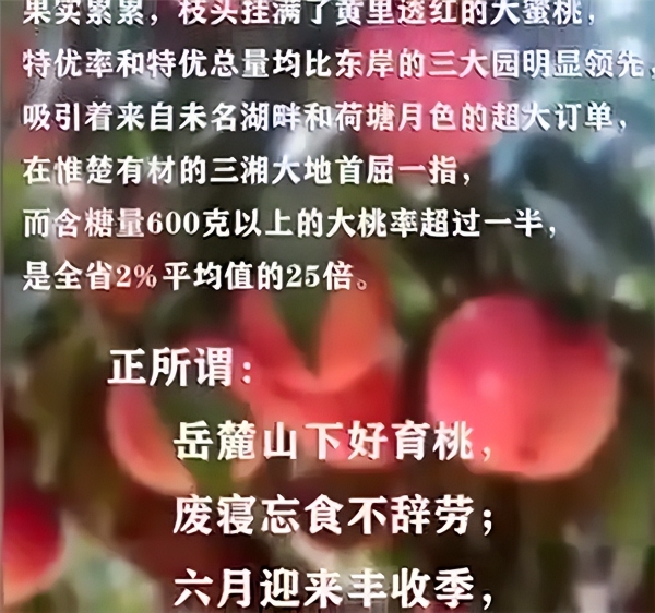 “净重696克的芒果”？学校回应高考“水果喜报”：非校方发布，不能变相宣传