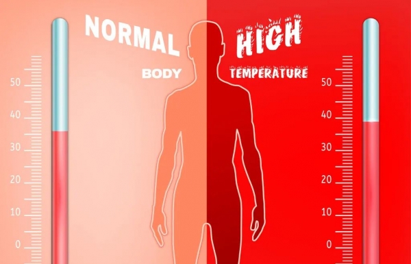 比周围人更怕热，你可能要查查「甲状腺」了