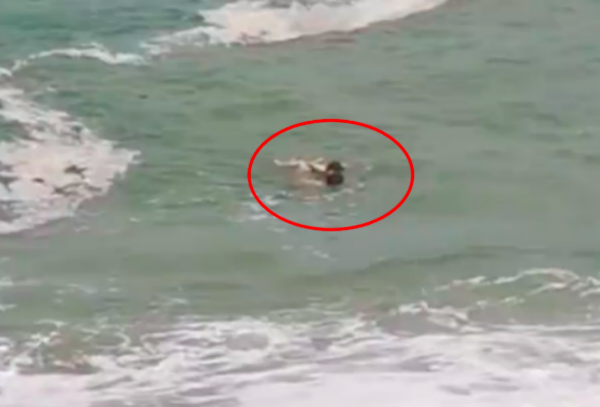 4岁女童被巨浪卷走男子跳海施救，救人者：没什么想法，就是作为一个父亲的本能