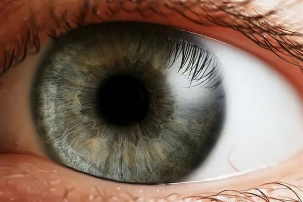 日本天价仿真蜻蜓防蚊子：可是 蚊子真的看得见吗？